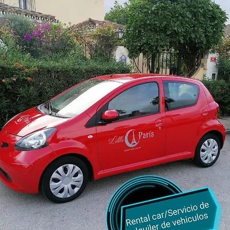 Апартаменты Little Paris *